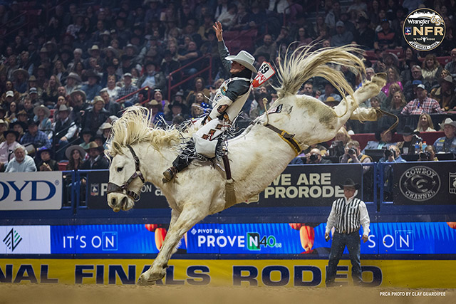 Jayco Roper and C5 Rodeo's Award Winning Bareback Horse Virgil